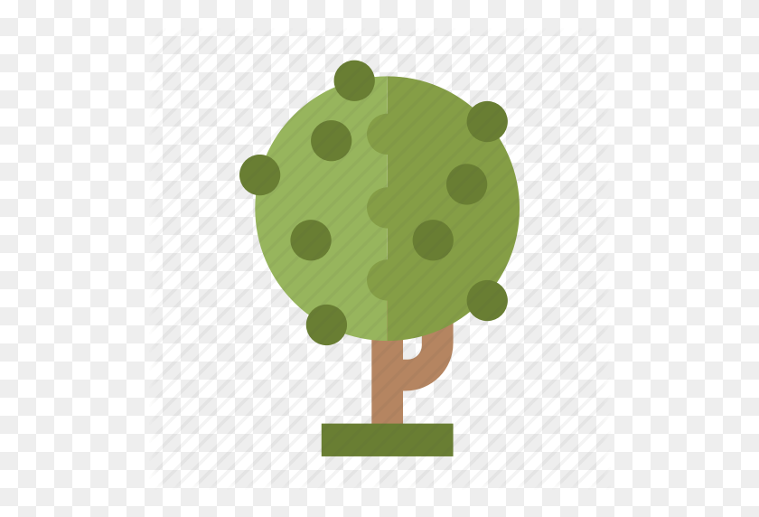 512x512 Forest, Jungle, Nature, Perennial, Tree Icon - Jungle Tree PNG