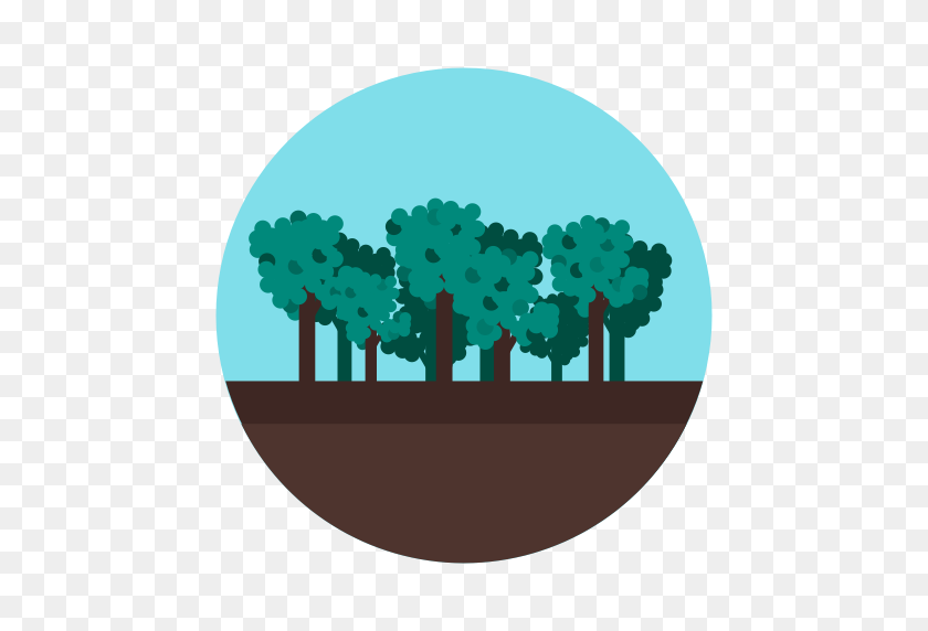 512x512 Forest, Jungle, Tree, Wood Icon - Jungle Tree PNG
