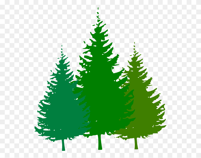 552x601 Скачать Клипарты Лесной Логотип - Лесной Клипарт Черный И Белый