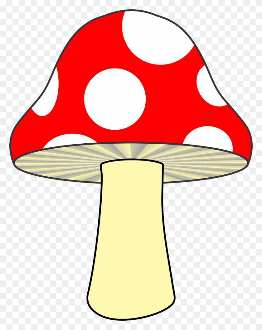 999x1280 Forest, Mushroom Nature Red Mushroom Fungus Woods - Fungi Clipart