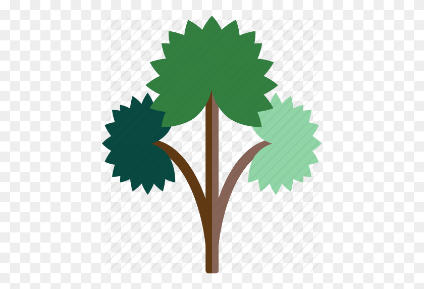 435x512 Forest, Rain, Tree Icon - Forest Trees PNG
