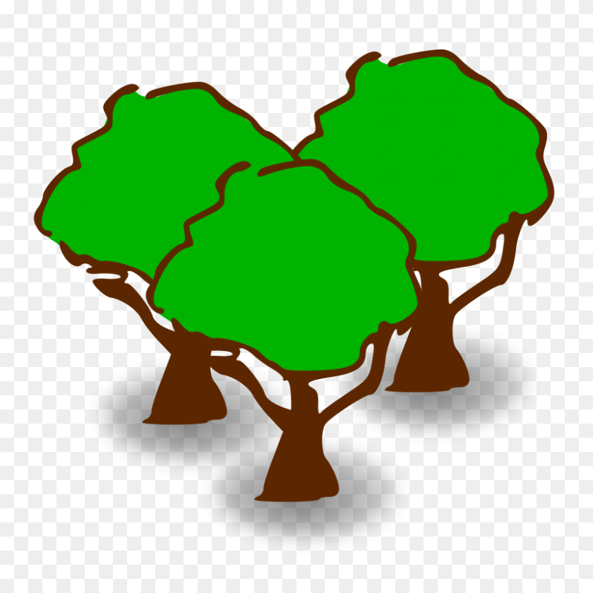 800x800 Forest Save Icon Format - Forest Background PNG
