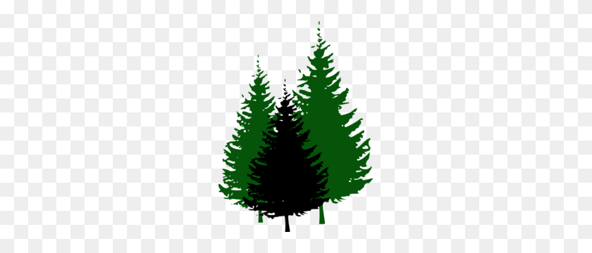 219x300 Лесной Силуэт Клипарт Бесплатный Клипарт - Вечнозеленое Дерево Клипарт Черно-Белое
