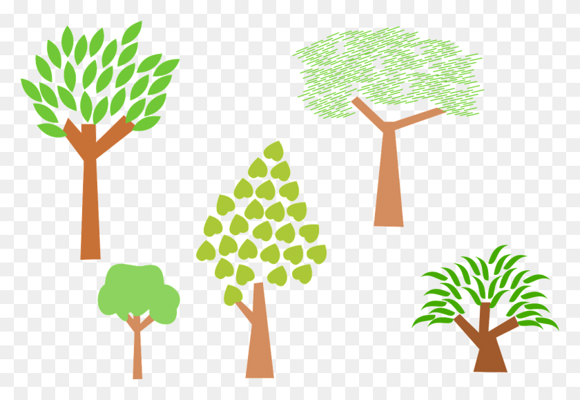 1280x852 Forest, Trees, Plants, Nature, Environment, Leaf - Tree With Leaves Clipart