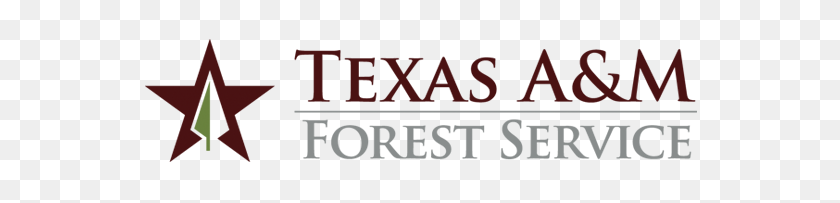 568x143 Forestry Texas Aampm Agrilife Dallas Center - Texas Aandm Logo PNG