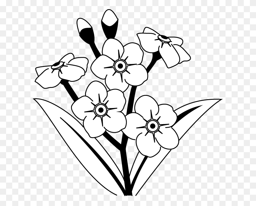625x617 No Me Olvides Flor Clipart - Flower Line Clipart