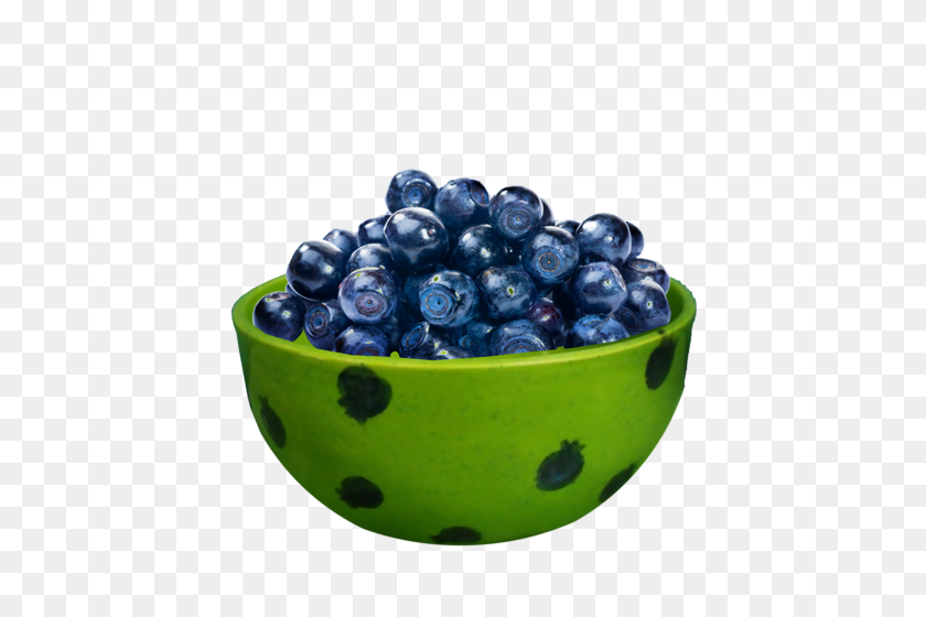 478x500 Forgetmenot Blueberries - Черника Png