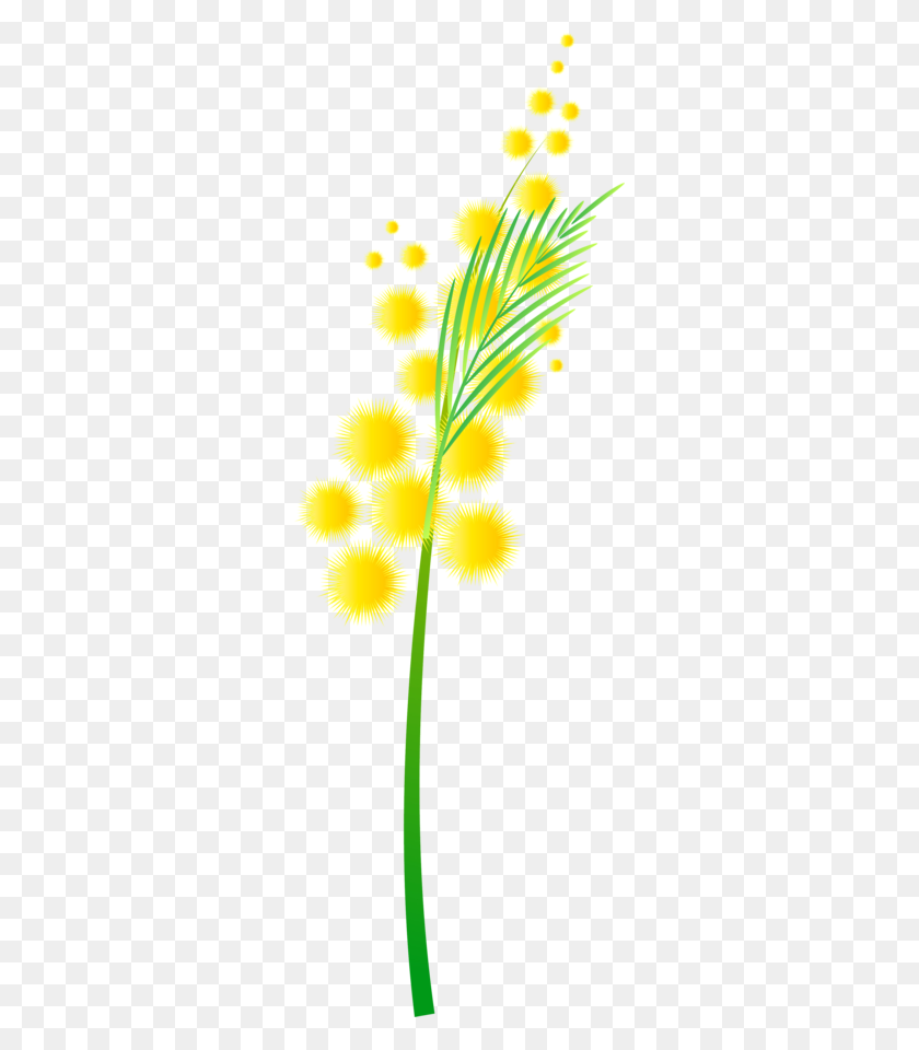 302x900 Forgetmenot Flowers - Mimosa Clipart