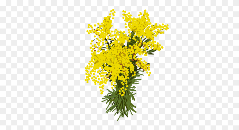 383x396 Flores Forgetmenot - Mimosa Png
