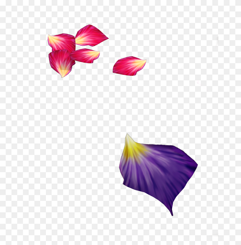 684x794 Forgetmenot Multicolored Flower Petals - Flower Petals PNG