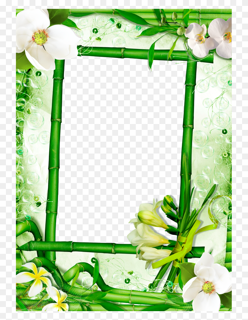 731x1024 Forgetmenot Spa Frames Bamboo - Bamboo Frame PNG