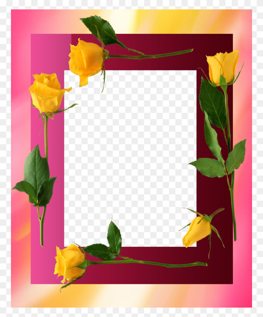 770x951 Forgetmenot Yellow Roses Frames - Yellow Roses PNG