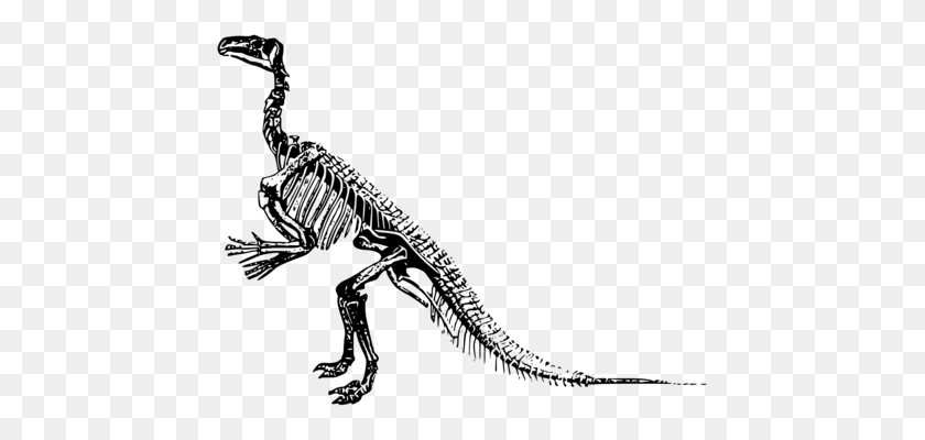 449x340 Fósil De Petrificación De Madera Petrificada De Roca Concha - Stegosaurus Imágenes Prediseñadas En Blanco Y Negro