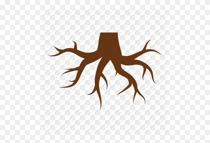 512x512 Foundation, Nature, Root, Roots, Stump, Tree, Tree Stump Icon - Root PNG
