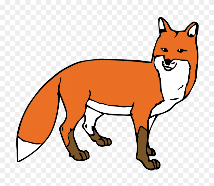 800x690 Fox Face Cliparts - Fennec Fox Clipart
