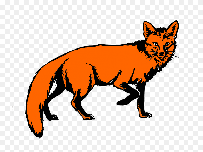 1045x761 Fox Png Images - Fox Png