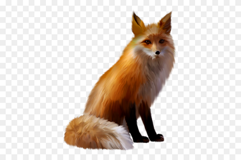 500x500 Fox Png Images, Free Download Pictures - Fox PNG