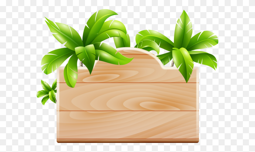 600x442 Frame Moana Png Png Image - Moana PNG