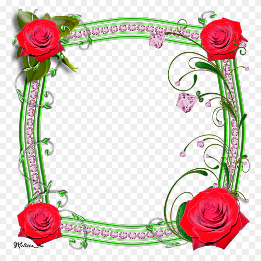 800x801 Frame Roses With Swirls Png - Rose Frame PNG