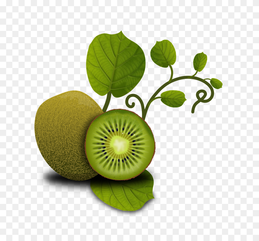 720x720 Arte Enmarcado Para Su Pared Fruta De Kiwi Frutas Verduras Plantas - Kiwi Png