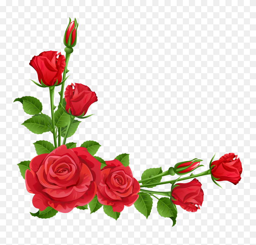 5187x4954 Рамки Цветы, Красные Розы - Роза Границы Клипарт