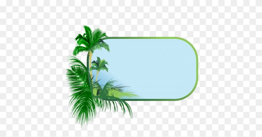450x381 Frames Png Palm Tree Border - Tropical Trees PNG