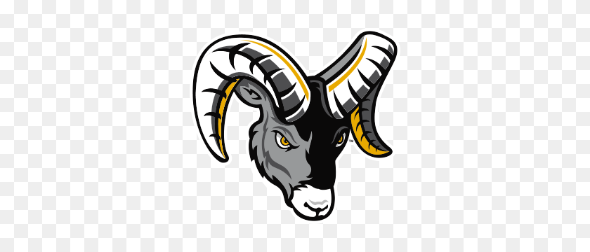 300x300 La Universidad Estatal De Framingham Rams Tienda De Ropa De Preparación De Ropa Deportiva - Rams Logotipo Png