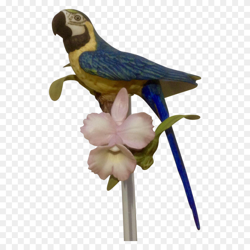 1473x1473 Franklin Mint, Tropical Birds And Flowers Series, Blue Macaw - Tropical Flowers PNG