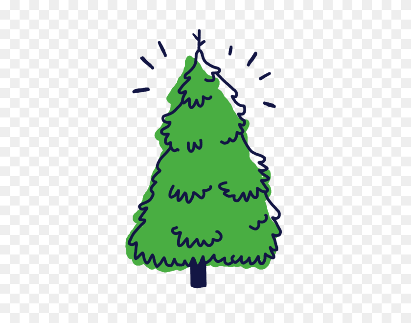 600x600 Frazier Fir Christmas Tree Clipart - Spruce Tree Clip Art