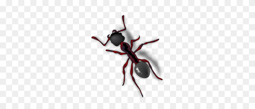 255x300 Free Ant Clipart Png, Ant Icons - Ant Clipart