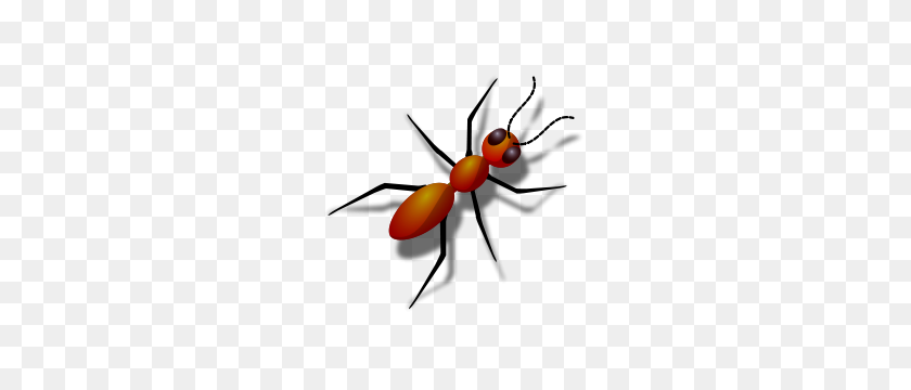 300x300 Free Ant Clipart Png, Ant Icons - Ant Clipart PNG