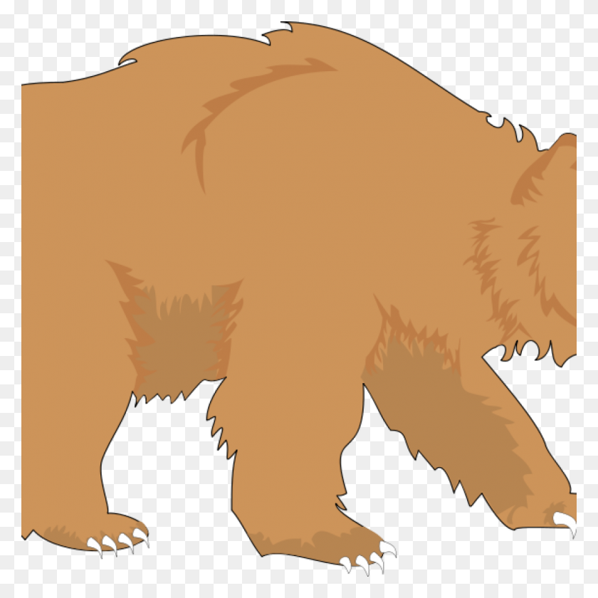 1024x1024 Медведь Клипарт Выпускной Кепка Клипарт Дом - Клипарт Медведь Панда