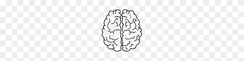 143x150 Imágenes Prediseñadas De Cerebro Gratis Imágenes Clipartbarn Human Clipart For Kids - Thinking Brain Clipart For Kids