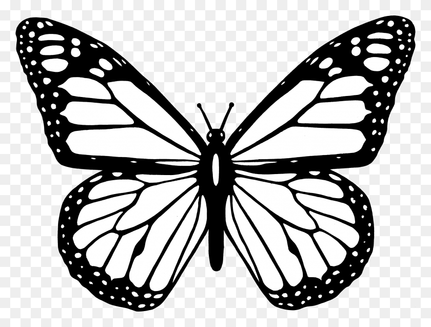 2374x1757 Free Butterfly Black And White - Помощь Другим Клипарт Черный И Белый
