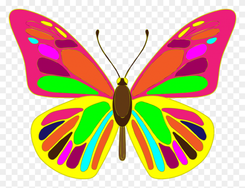 1024x768 Бесплатный Векторный Рисунок Бабочки, Клипарт - Контур Бабочки Png