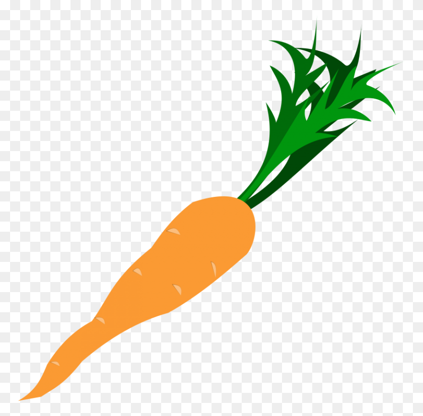 768x766 Free Carrot Clipart Free Carrot Clip Art - Science Border Clipart