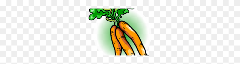 220x165 Free Carrot Clipart Free Clip Art - Free Food Clipart For Teachers