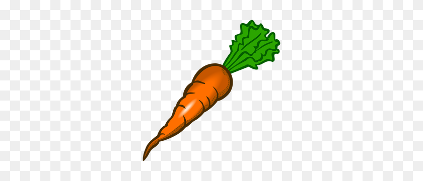 292x300 Free Carrot Vector Art - Carrot Nose Clipart