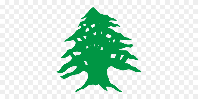 360x360 Free Cedar Tree Drawing - Cypress Tree Clipart