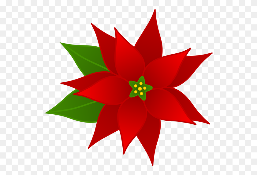 550x514 Бесплатный Клип-Арт Границы Пуансеттия Рождественский Цветок Пуансеттия - Зарегистрироваться Клипарт