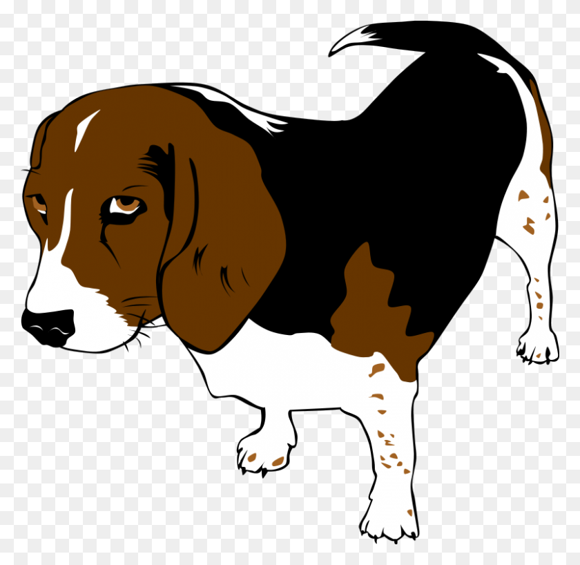 800x778 Free Clip Art Dog - Beagle Clipart
