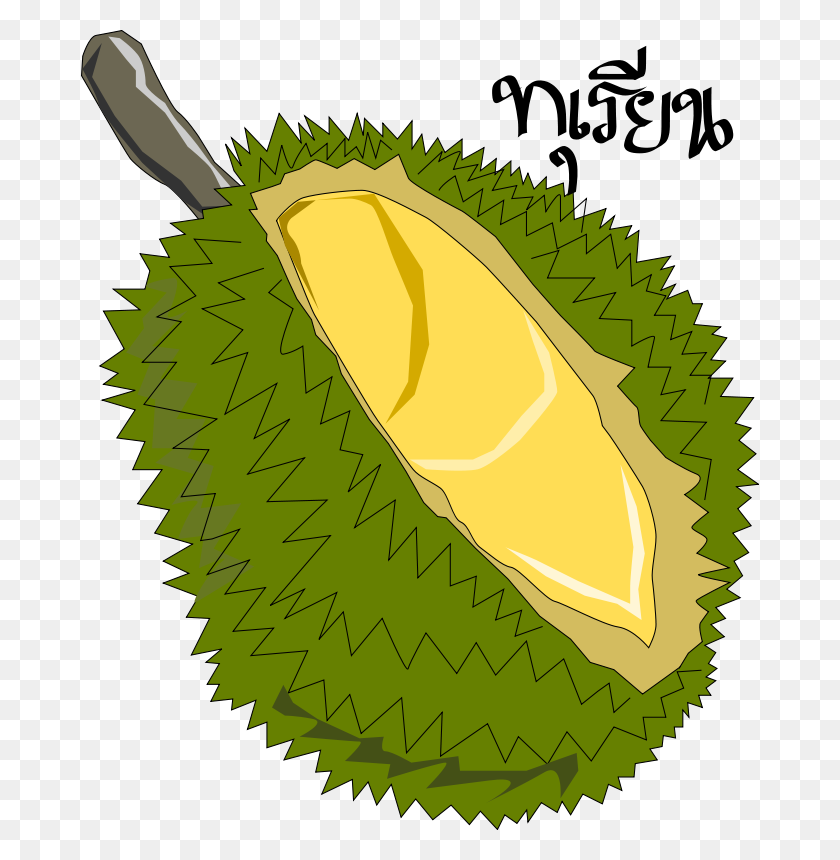 678x800 Free Clip Art Durian,thai Fruit - Thai Clipart
