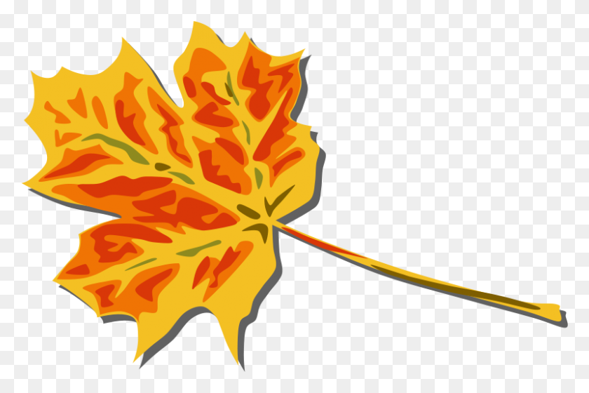 800x513 Бесплатные Картинки Осенние Листья - Оранжевый Лист Клипарт
