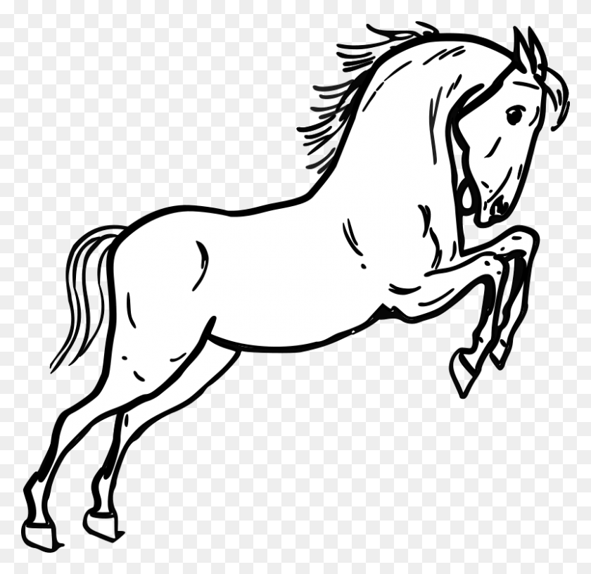 800x776 Free Clipart Jumping Horse Outline - Esquema De Imágenes Prediseñadas De Caballo