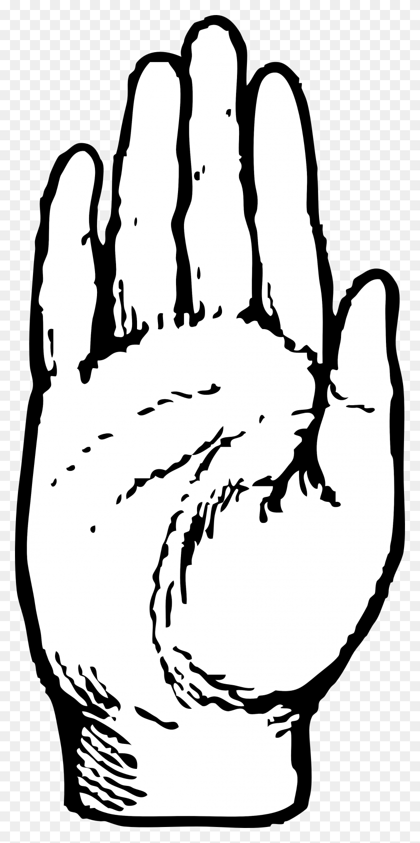 1969x4098 Free Clip Art Right Hand Palm Facing Out - Hand In Hand Clipart
