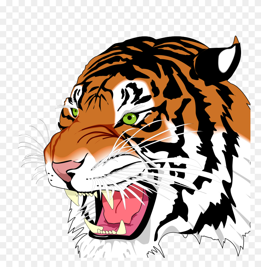 773x800 Free Clipart - Tiger Clipart Black And White
