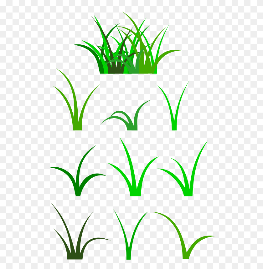 571x800 Free Clipart - Yucca Clipart
