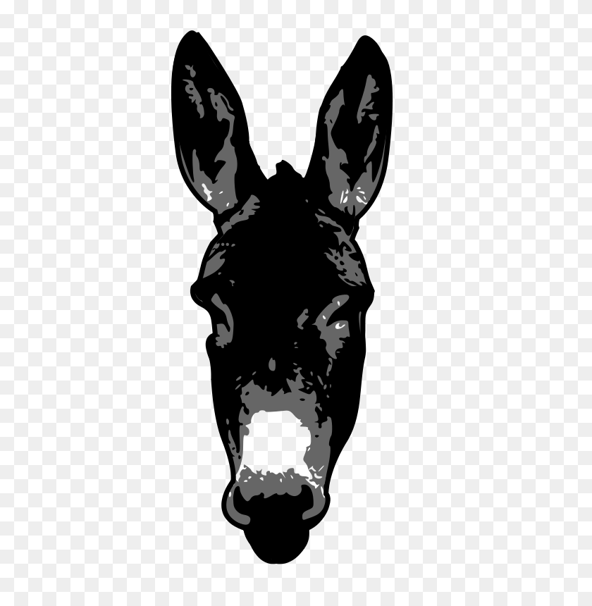 566x800 Free Clipart - Mule Clipart Black And White