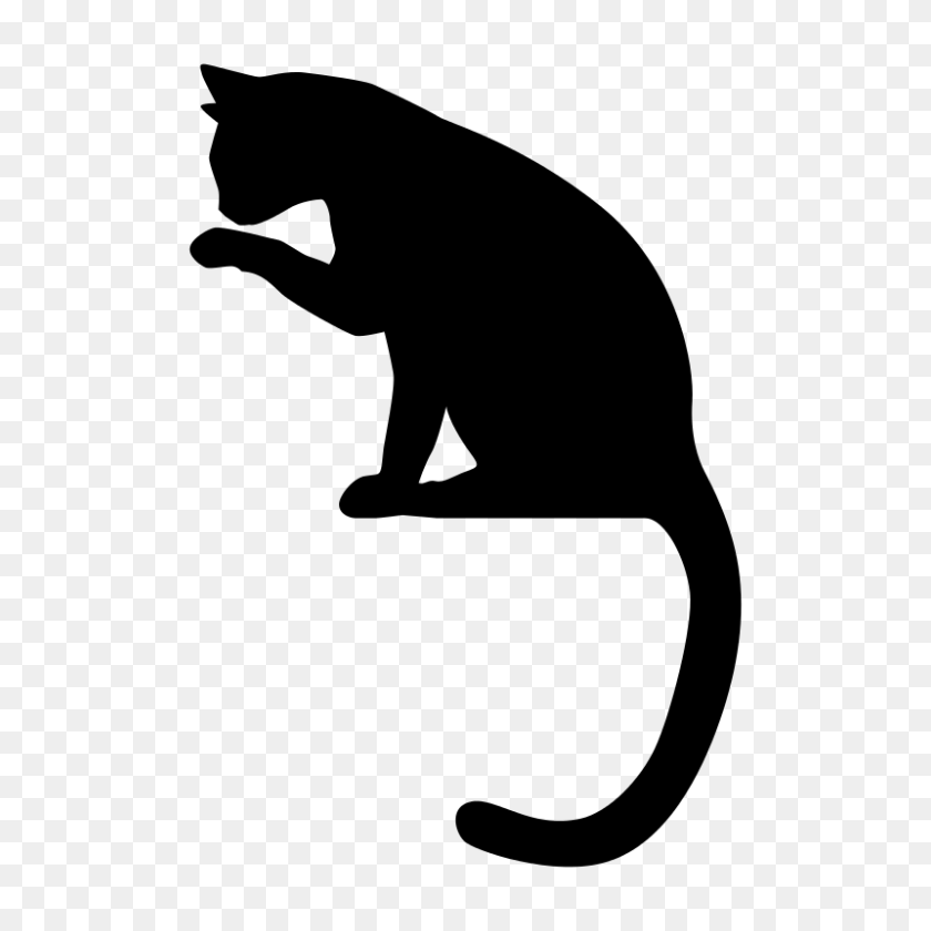800x800 Free Clipart - Gato PNG