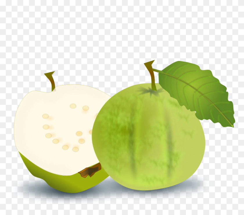 800x696 Free Clipart - Guava Clipart